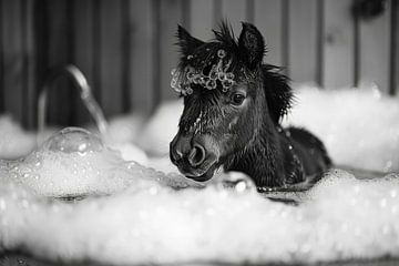 Speelse pony in bad - Een charmante badkamerfoto voor je toilet van Felix Brönnimann