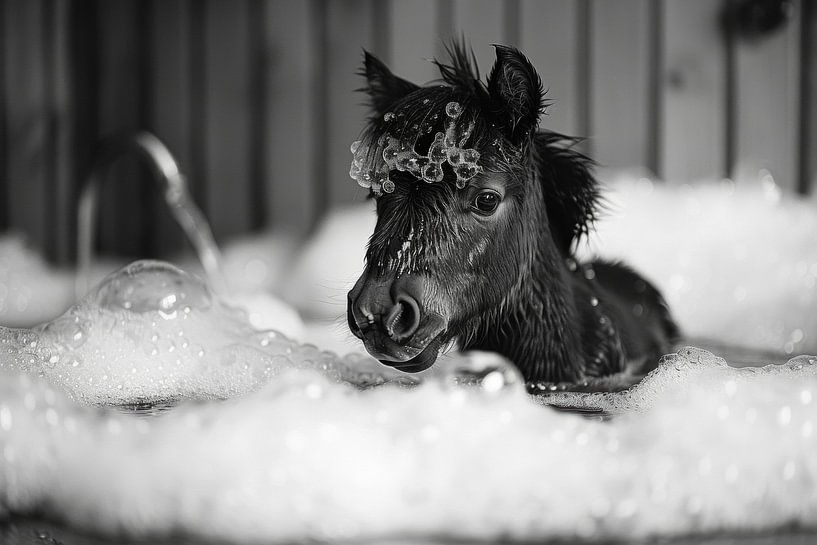 Playful pony in the bathtub - A charming bathroom picture for your WC by Poster Art Shop