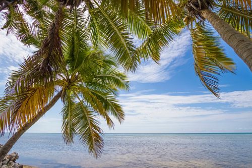 FLORIDA KEYS zeezicht