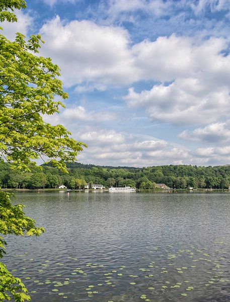at the Baldeneysee,Essen,Ruhr area by Peter Eckert