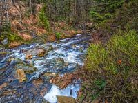 dwars tussen de natuur stromend rivier