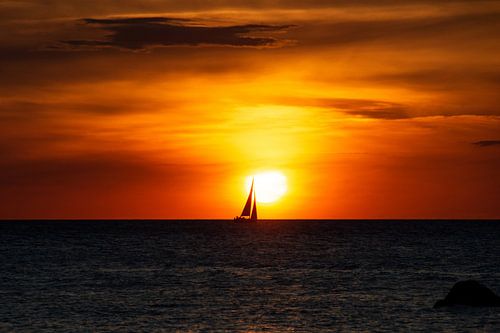 Vers le soleil.