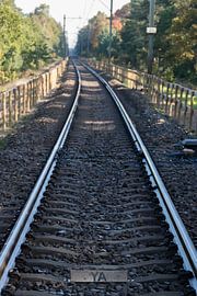 Ya! sur Nynke de Bruijne