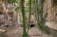 arboretum in ruined castle by Dafne Op 't Eijnde thumbnail
