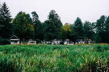 Small wooden houses nestled between the reeds and the woods