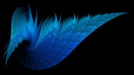 Fiboceanic Zwart von Jasper de Brouwer