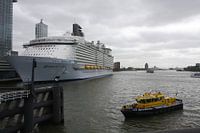 Harmony of the Seas | Rotterdam | 2016