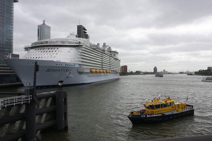 Harmony of the Seas | Rotterdam | 2016 by Shui Fan