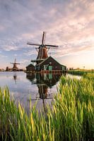Windmühle in Holland