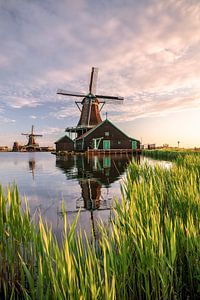 Windmolen in Nederland van Achim Thomae