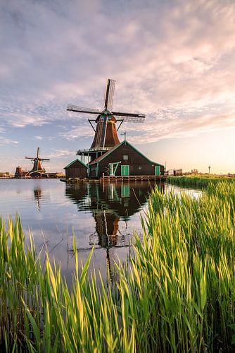 Windmolen in Nederland