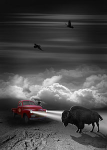 Meeting in der Prärie