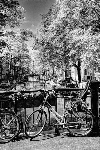 Jordaan Egelantiersgracht Amsterdam Nederland Zwart-Wit