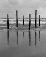 Reflecties aan de kust