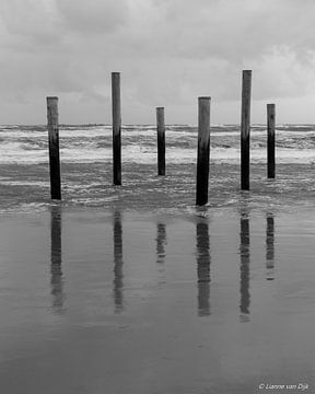 Reflecties aan de kust van Lianne van Dijk
