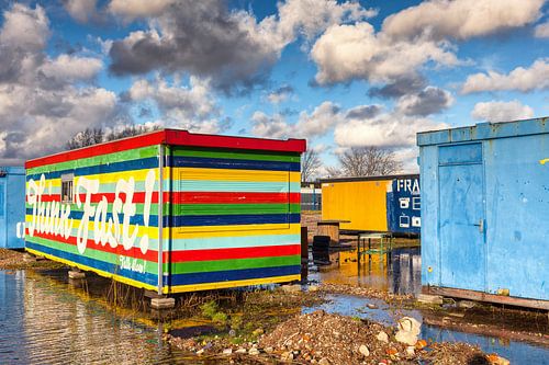 Think Fast, Talk Slow