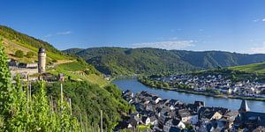 Zell sur la Moselle sur Walter G. Allgöwer