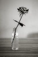 Roos in plastic flesje