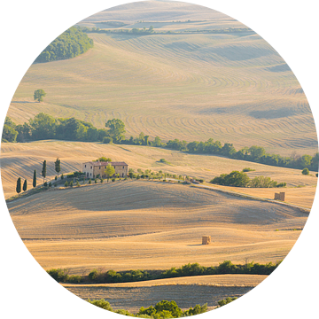 Tuscan farm on a hill van Gerhard Nel