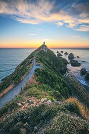 New Zealand Nugget Point Lighthouse by Jean Claude Castor