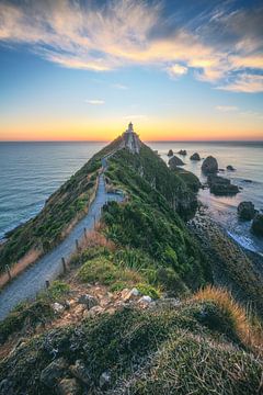 Neuseeland Nugget Point Lighthouse von Jean Claude Castor