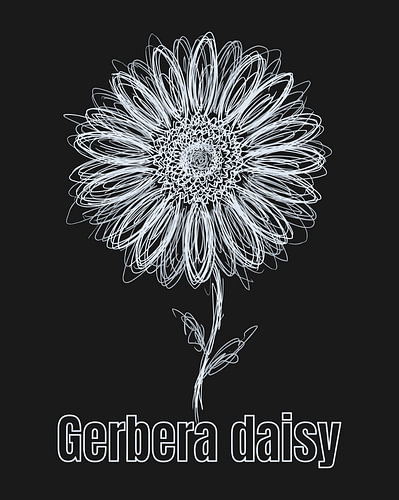 Minimalistisches Poster mit Strichzeichnung einer Garbera-Gänseblümchenblüte – Black Edition