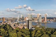 Het stadspark van Rotterdam vanaf de Euromast van MS Fotografie | Marc van der Stelt thumbnail