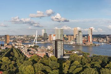 Der Stadtpark von Rotterdam vom Euromast