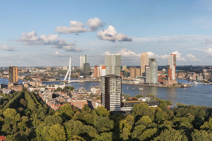 Het stadspark van Rotterdam vanaf de Euromast van MS Fotografie | Marc van der Stelt