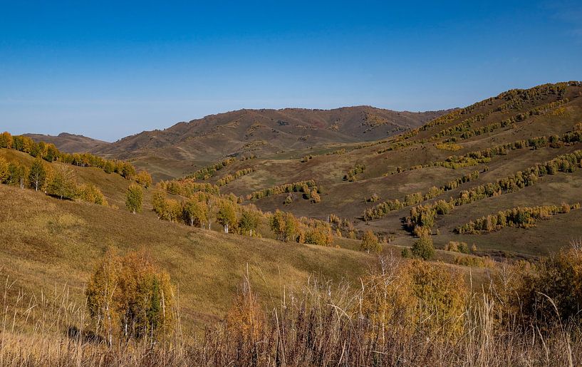 Autumn in Siberia by jaap van der kooij