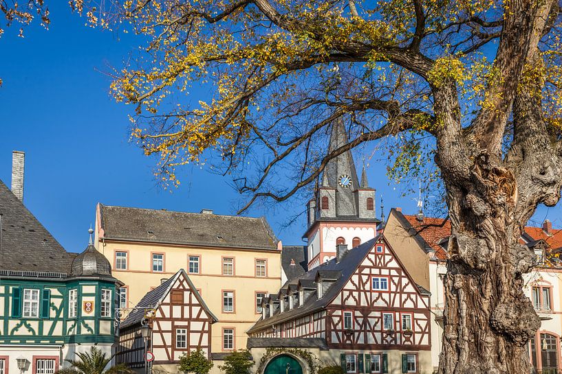 Historische Fachwerkhäuser an der Uferpromenade von Oestrich von Christian Müringer