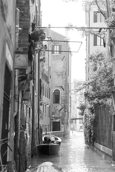 Venedig von heidi borgart