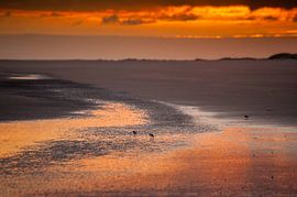 Plage du lever du soleil Schiermonnikoog