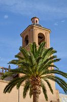 Een toren van de Basiliek van de Heilige Maria van Alicante achter groene palmbomen onder een strakb