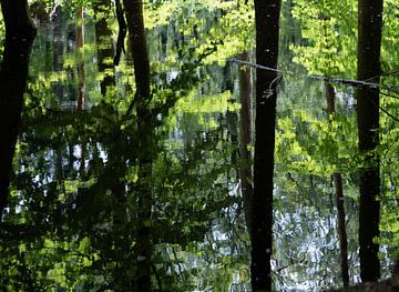 Green Reflections van Joke de Jager