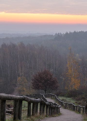 staircase of Kwintelooijen at dawn