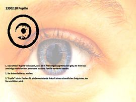 Pupille 13302.10
