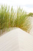 Summer at the beach of the island Terschelling 