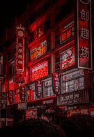 Under the crimson glow of neon lights