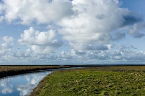 Nazomer op het Wad von Douwe Struiksma