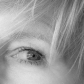 Ingrid Van Damme fotografie profielfoto
