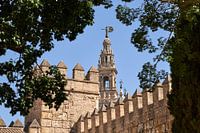 Kathedrale von Sevilla