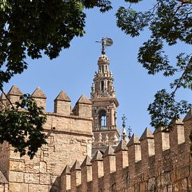 Kathedrale von Sevilla von Peter Brands