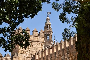 Kathedraal van Sevilla van Peter Brands