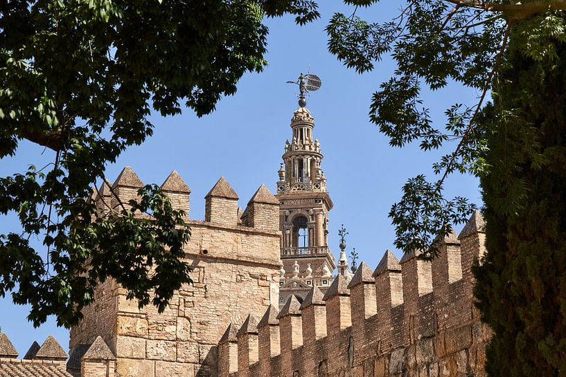 Kathedrale von Sevilla von Peter Brands