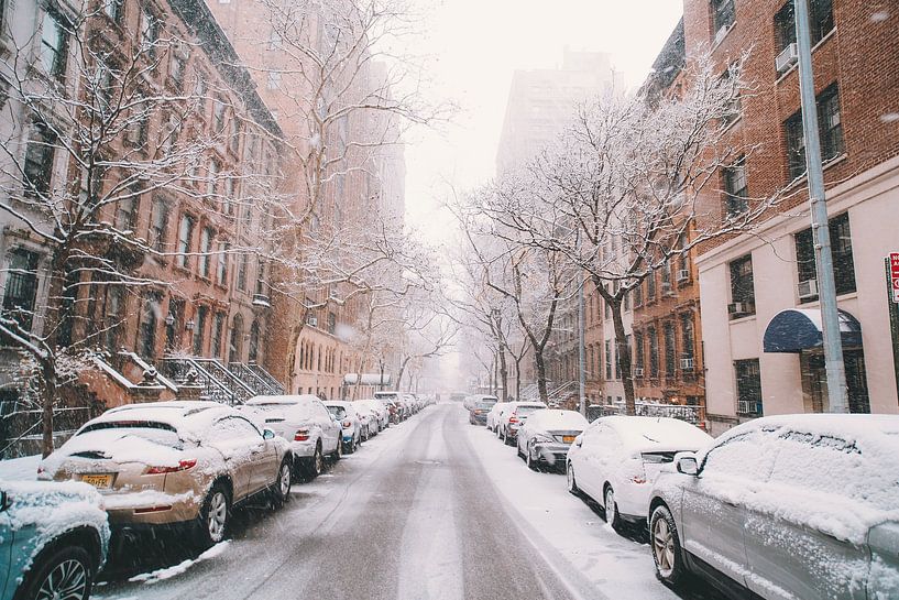 Winter Vibes by Hello Pompoyo