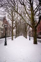 Snow has taken over Leiden