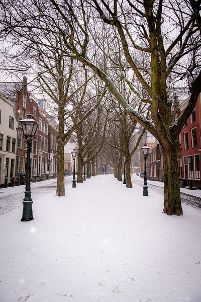 Schnee hat Leiden verpackt von Franck Doho