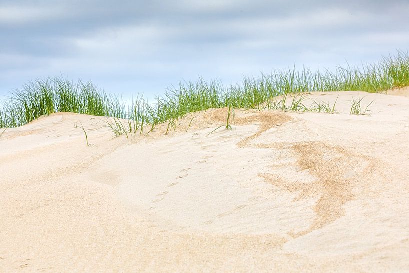The dunes by Andy Luberti