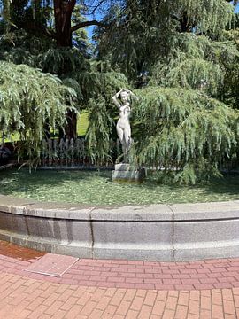 Image by William Masseur